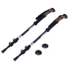 Gaură Rock Empire Deer 3.0