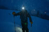 elovka în timpul iernii