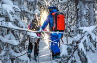 Cum_de_alege_skialpine_legare_Plum (2)