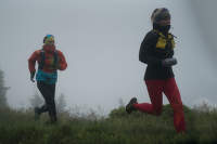 alergare în toamnă