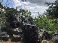 Jak_odstranit_smulu (2)