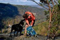 Trekking cu un câine