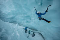 Cum să alegeți pisici