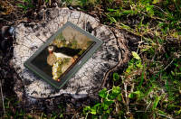 Electronică și exterior