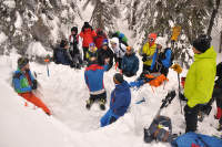 informații de bază despre avalanșe