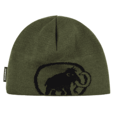 Căciuli Mammut Tweak Beanie (1191-01352) 40294 dark marsh-black