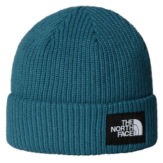 Căciuli The North Face SALTY LINED BEANIE BQ5 SPACE