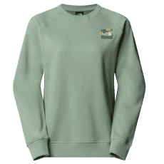 Hanorac The North Face CONNECT RELAXED CREW SWEATSHIRT-GRAPHI Women BQ1 SLATE MOSS