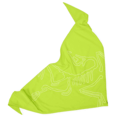 Eșarfă Arcteryx Sinsolo Bandana Mantis