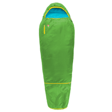 Sac de dormit Grüezi bag Kids Grow Colorful Gecko Green