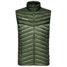 Vesta Mammut Albula IN Vest Men 40300 marsh-dark marsh