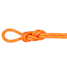 Frânghie Mammut 9.5 Alpine Dry Rope 2286 vibrant orange-zen