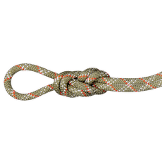 Frânghie Mammut 9.5 Gym Classic Rope 40303 boa-white