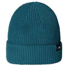 Căciuli The North Face TNF Fisherman Beanie BQ5 SPACE