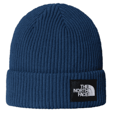 Căciuli The North Face SALTY LINED BEANIE SHADY BLUE
