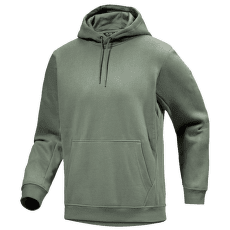 Hanorac Arcteryx Emblem Fleece Hoody Men Forage