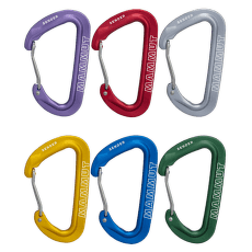 Carabină Mammut Sender Wire Rackpack multicolor