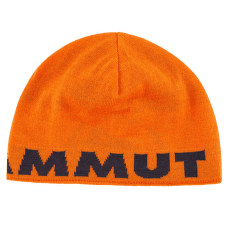 Căciuli Mammut Mammut Logo Beanie (1191-04891) arumita-night