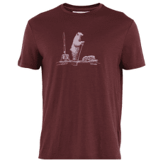 Tricou cu mânecă scurtă Icebreaker Merino 150 Tech Lite SS Tee Polar Paddle Men PORT