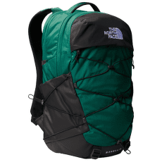 Rucsac The North Face BOREALIS (52SE) EVERGREEN/TNF BLACK