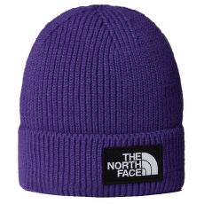 Căciuli The North Face TNF LOGO BOX CUFFED BEANIE PEAK PURPLE