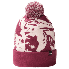 Căciuli The North Face Ski Tuke BOYSENBERRY/PINK MOSS