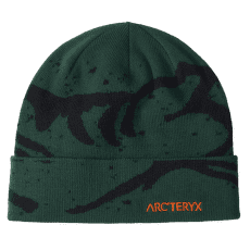 Căciuli Arcteryx Grotto Toque Eden/Black