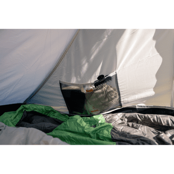 Stat Coleman Darwin 3