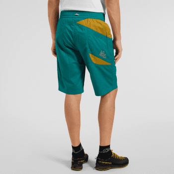 Pantaloni scurți La Sportiva BLEAUSER SHORT Men Pine/Kale