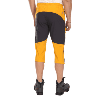 Pantaloni 3/5 Direct Alpine Ascent Light 3/4 anthracite/mango