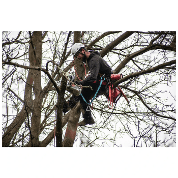 Șaua Rock Empire Skill Tree černá 008