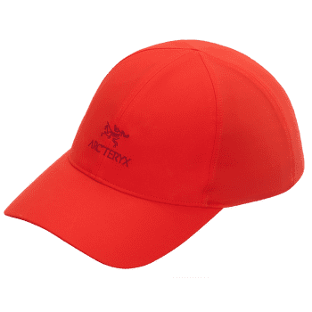 Capac Arcteryx Bird Word Cap Dynasty