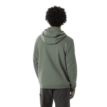 Hanorac Arcteryx Emblem Fleece Hoody Men Forage
