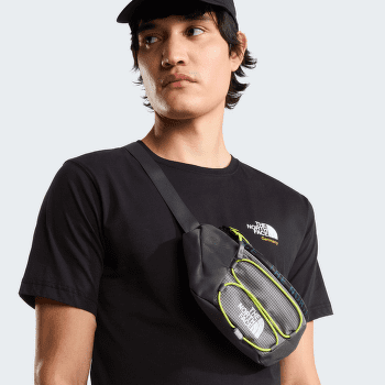 Rinichi The North Face Jester Lumbar D0L BARK MIST/TNF BLACK