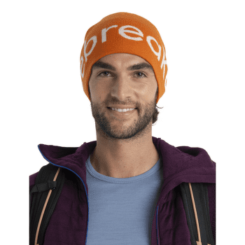 Căciuli Icebreaker Merino Icebreaker Beanie CEDAR WOOD/ECRU HTHR