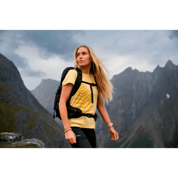 Tricou cu mânecă scurtă Devold Bregne Merino 150 Tee Women 057A Honey
