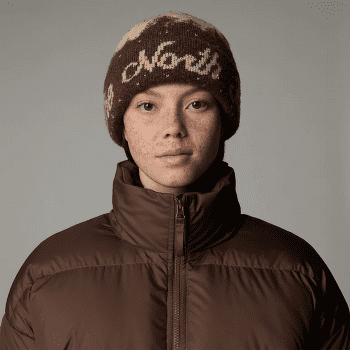 Căciuli The North Face CABIN MOUNTAINSCAPE BEANIE SMOKEY BROWN/GRAVEL