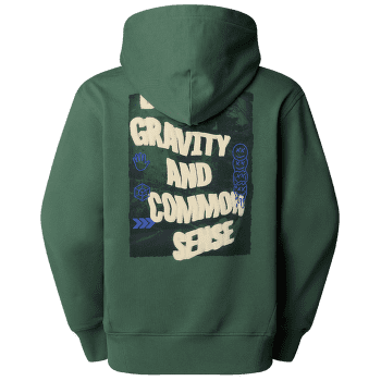 Hanorac The North Face HERITAGE GRAPHIC RELAXED HOODIE Men DUCK GREEN