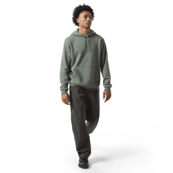 Hanorac Arcteryx Emblem Fleece Hoody Men Forage