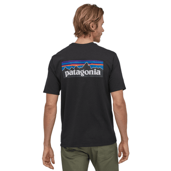 Tricou cu mânecă scurtă Patagonia P-6 Logo Responsibili Tee Men Torrey Pine Green