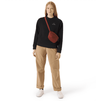 Hanorac Arcteryx Emblem Fleece Crew Women Black