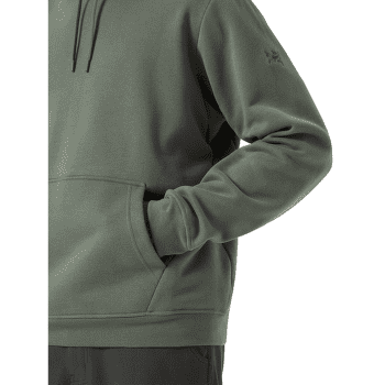 Hanorac Arcteryx Emblem Fleece Hoody Men Forage
