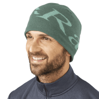 Căciuli Rab Logo Beanie Green Slate/Glacier Blue