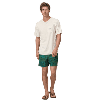 Pantaloni scurți Patagonia Hydropeak Volley Shorts Men High Hopes Geo: Forge Grey