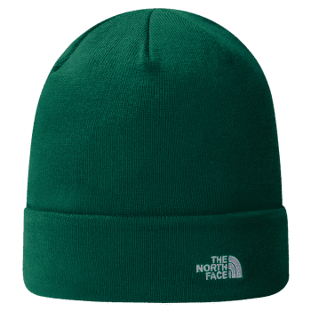 Căciuli The North Face NORM BEANIE EVERGREEN