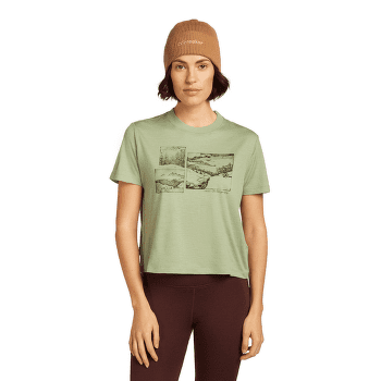 Căciuli Icebreaker Merino All Day Toque Beanie Trail