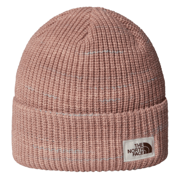 Căciuli The North Face SALTY BAE LINED BEANIE BOU MARS DUST