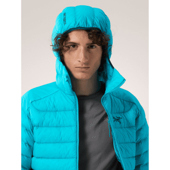 Jachetă Arcteryx Cerium Hoody Men Sequoia/Solaris