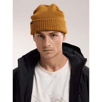 Căciuli Arcteryx Mallow Toque Tatsu