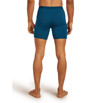 Boxeri Icebreaker Anatomica Long Boxers Men ATLANTIS